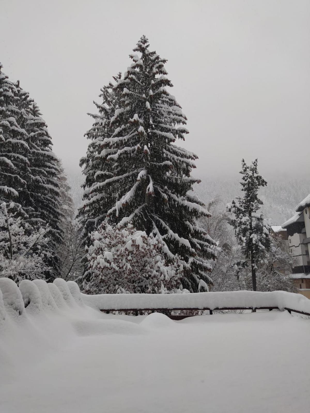 Appartement Mont Blanc View