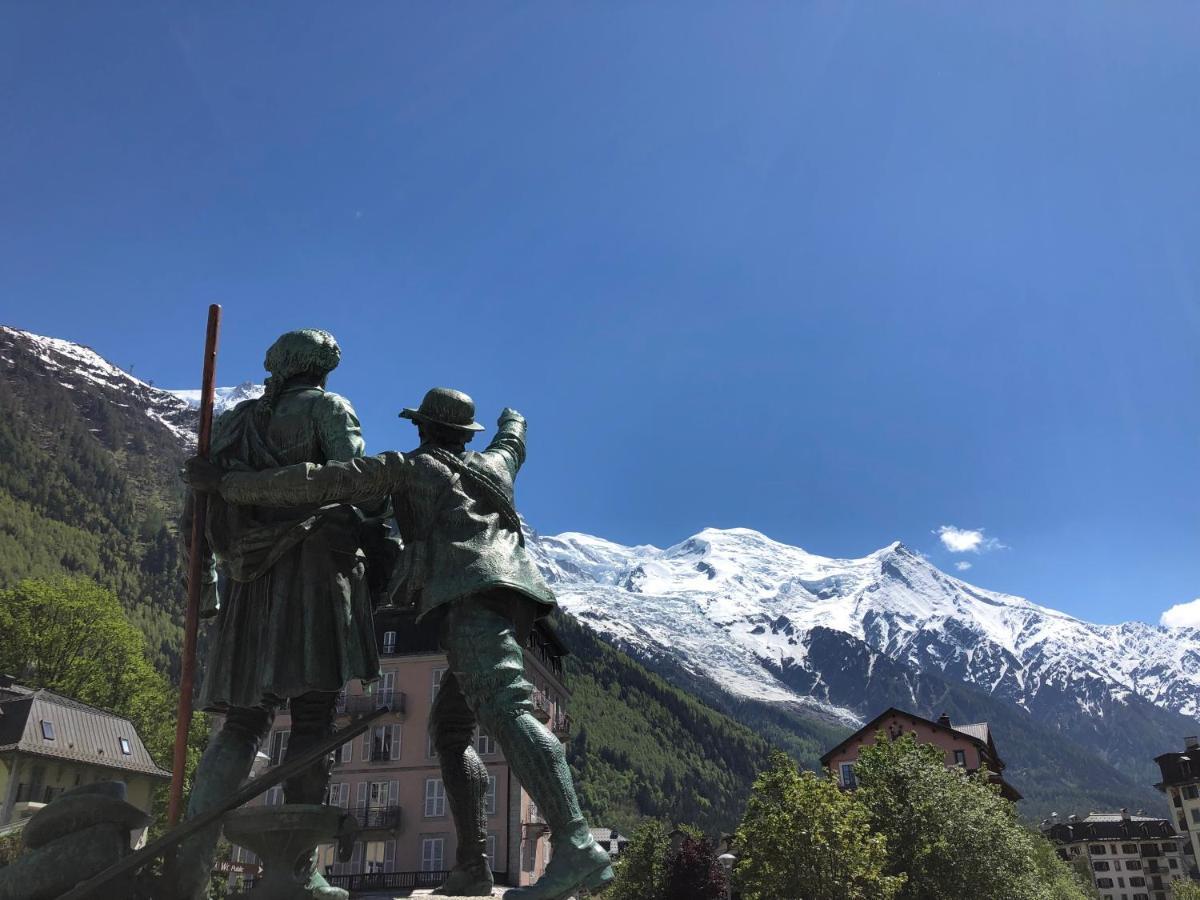 Appartement Mont Blanc View *